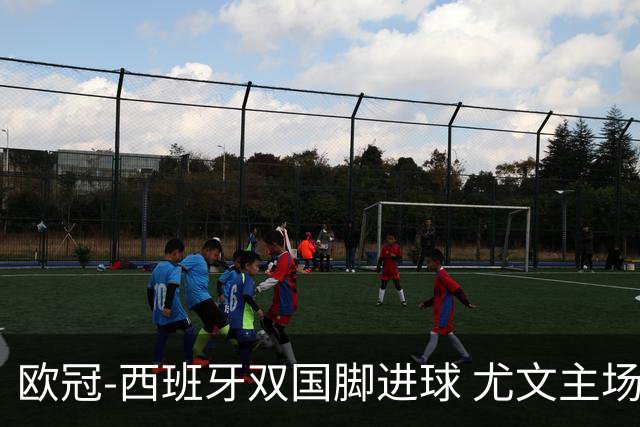 欧冠-西班牙双国脚进球 尤文主场0-3不敌黄潜出局